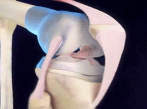 광고이미지1